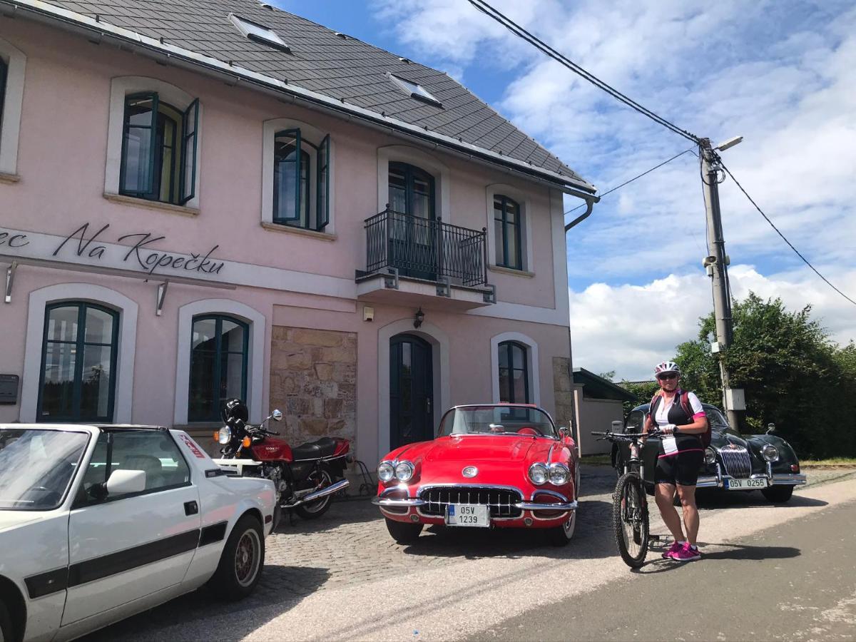 Na Kopecku Ad 1795 - Penzion S Restauraci A Wellness V Podkrkonosi Двур-Кралове-над-Лабем Экстерьер фото
